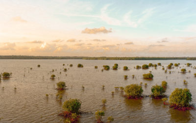 Building for a Changing Climate in Arkansas